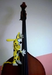 Marsupilami bassiste